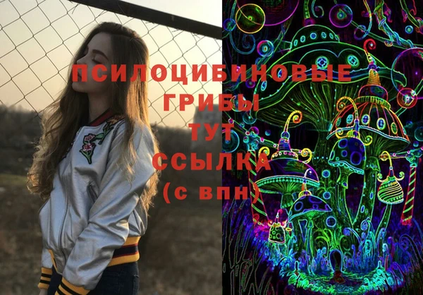 герыч Новокубанск