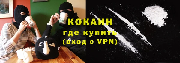 соль ск Новодвинск