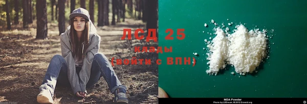 соль ск Новодвинск