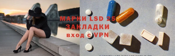 соль ск Новодвинск