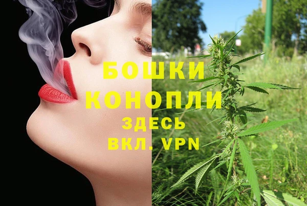 скорость Новозыбков
