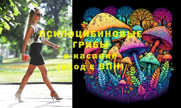 соль ск Новодвинск