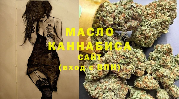 скорость Новозыбков