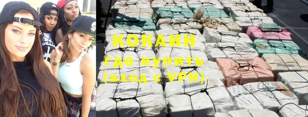 скорость Новозыбков