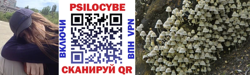 Галлюциногенные грибы Psilocybe  дарнет шоп  Абдулино 